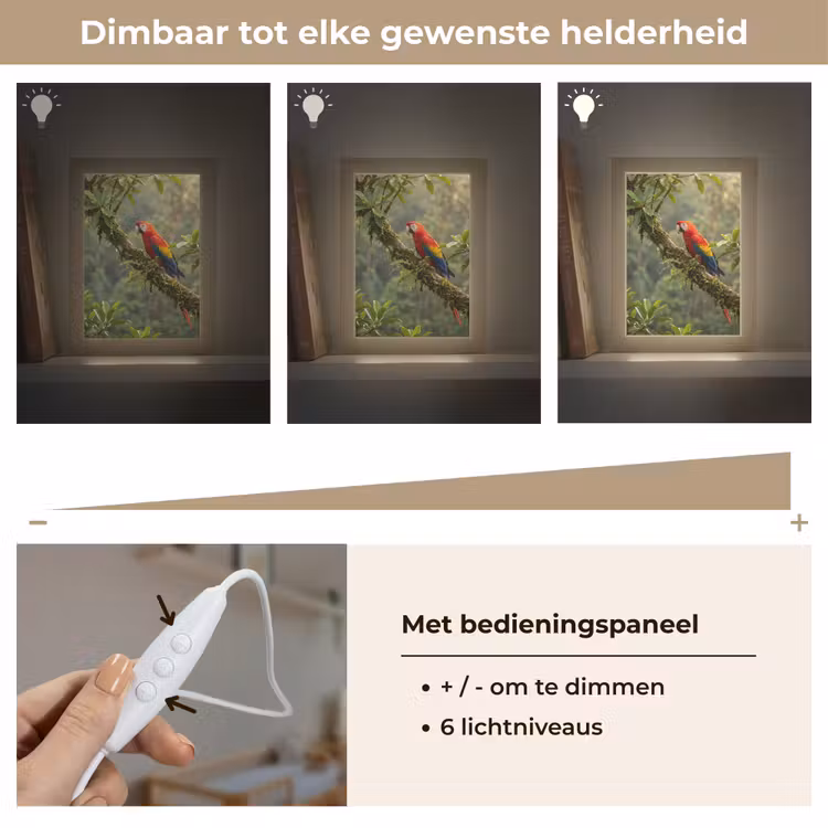 Ara - Jungle - Rood Light Box met kabel (Kinderlampje) klein -USP_dimbaarNL
