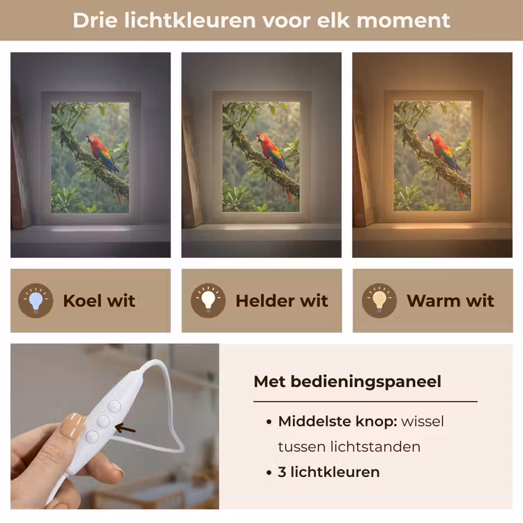 Ara - Jungle - Rood Light Box met kabel (Kinderlampje) klein -USP_lichtkleurNL