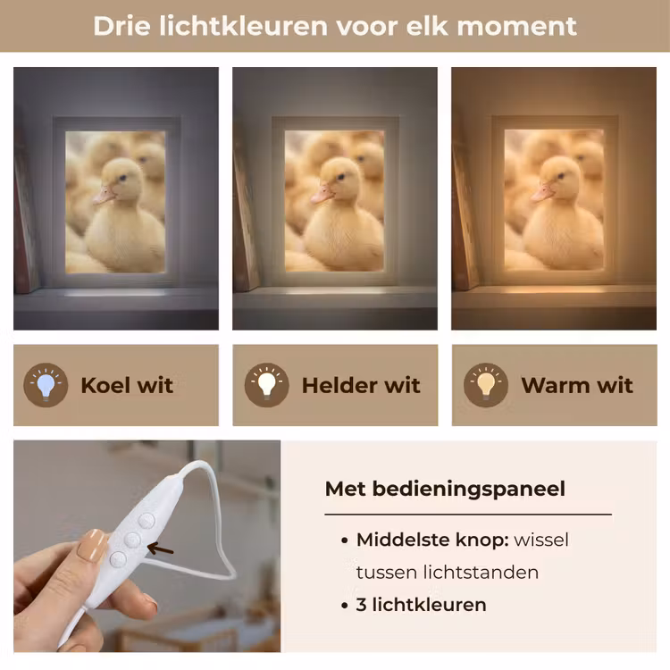 Pijltje - Eend - Natuur - Geel Light Box met kabel (Kinderlampje) klein -USP_lichtkleurNL