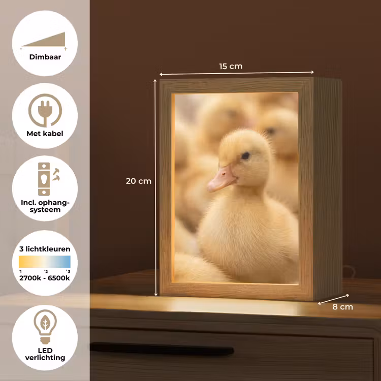 Pijltje - Eend - Natuur - Geel Light Box met kabel (Kinderlampje) klein -USP_NL