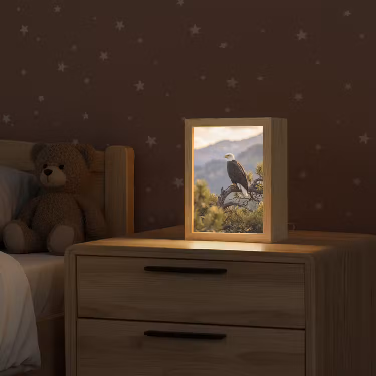 Zeearend - Boom - Bergen - Groen Light Box met kabel (Kinderlampje) klein -sfeer1_kind