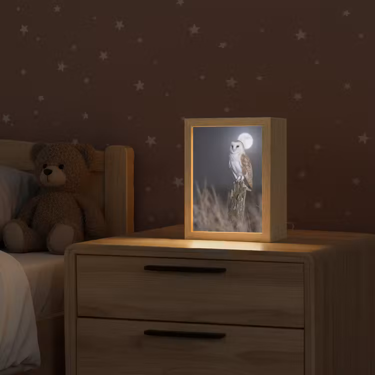 Kerkuil - Maan - Nacht Light Box met kabel (Kinderlampje) klein -sfeer1_kind