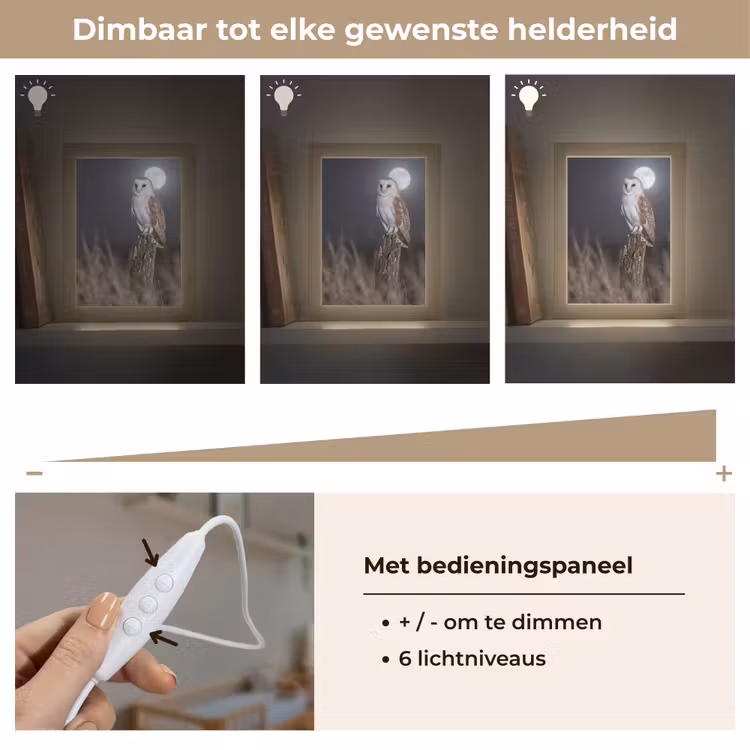 Kerkuil - Maan - Nacht Light Box met kabel (Kinderlampje) klein -USP_dimbaarNL