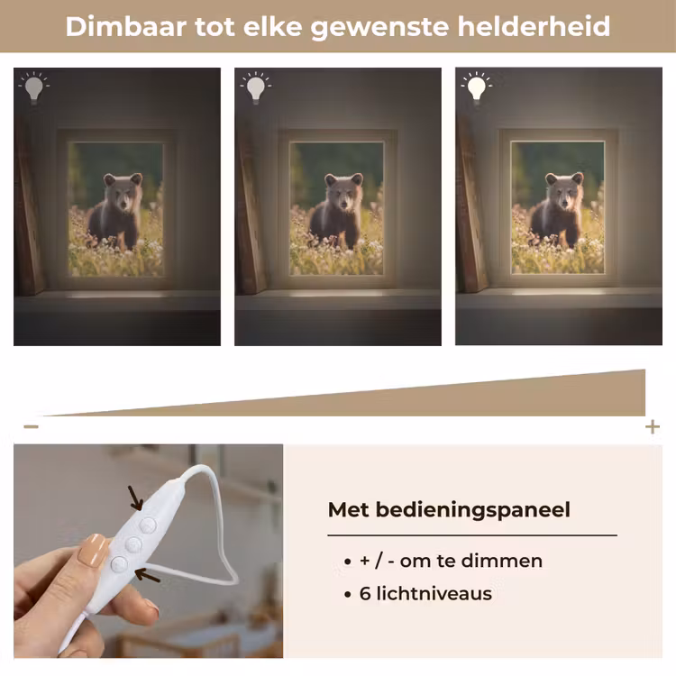 Beer - Bloemenveld - Gras Light Box met kabel klein -USP_dimbaarNL