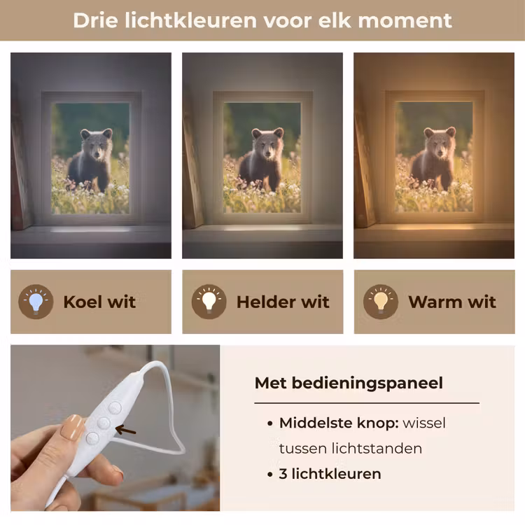 Beer - Bloemenveld - Gras Light Box met kabel klein -USP_lichtkleurNL