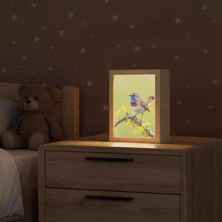 Vogel - Tak - Natuur - Kleurrijk Light Box met kabel (Kinderlampje) klein -sfeer1_kind