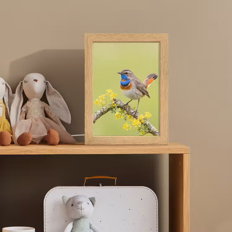 Vogel - Tak - Natuur - Kleurrijk Light Box met kabel (Kinderlampje) klein -sfeer2_kind