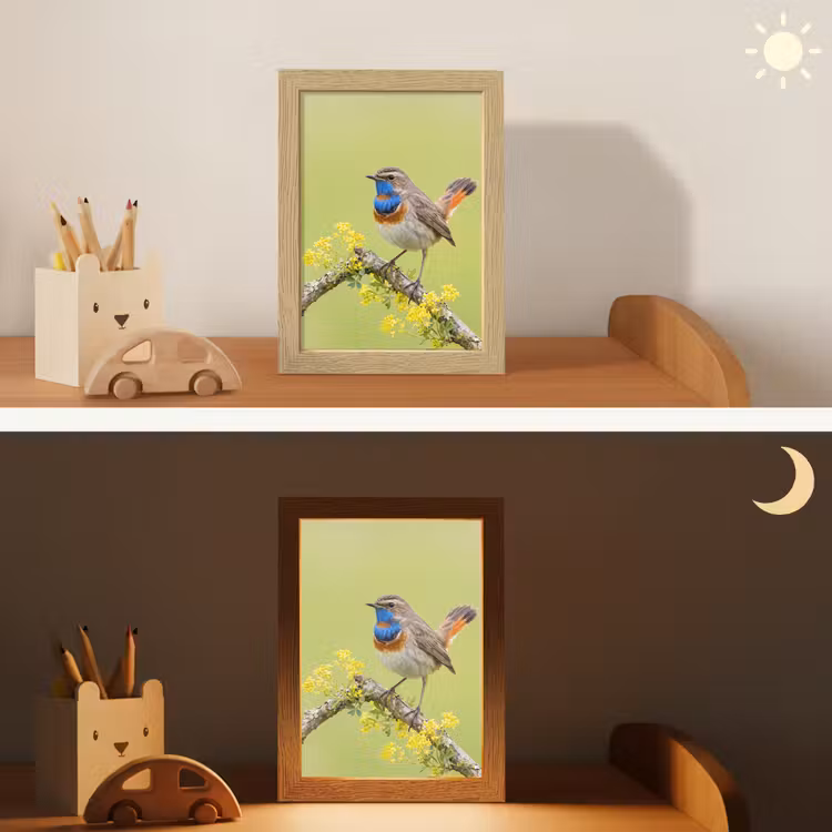 Vogel - Tak - Natuur - Kleurrijk Light Box met kabel (Kinderlampje) klein -sfeer3_kind