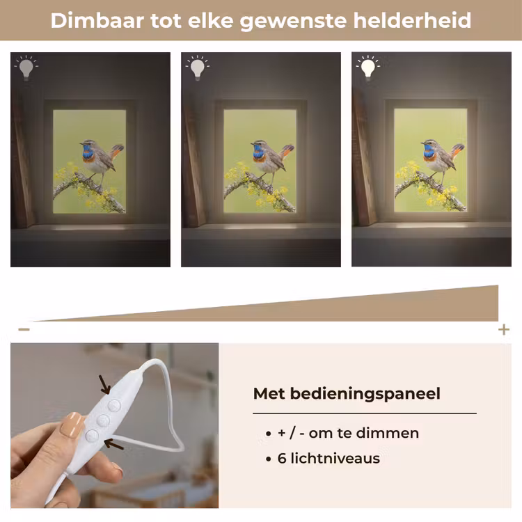 Vogel - Tak - Natuur - Kleurrijk Light Box met kabel (Kinderlampje) klein -USP_dimbaarNL