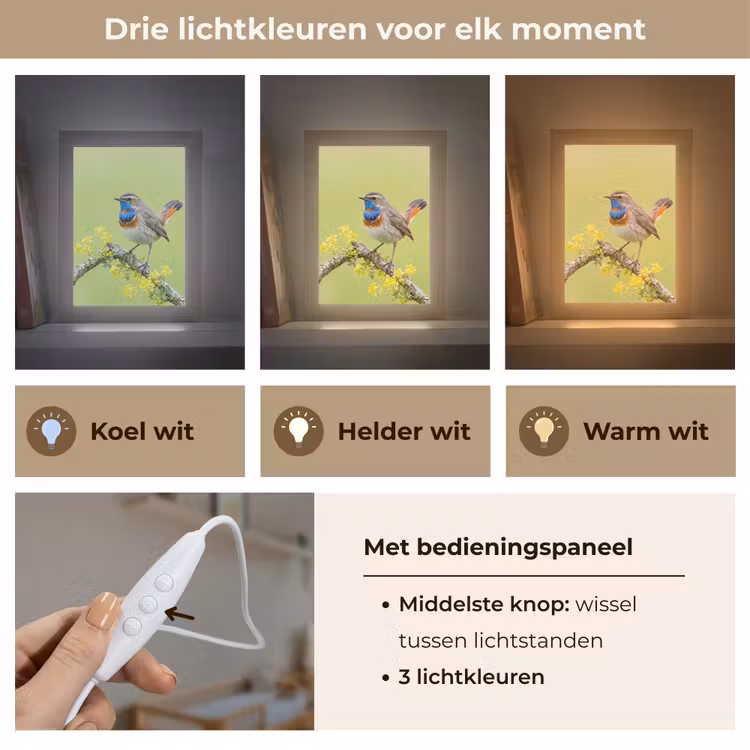 Vogel - Tak - Natuur - Kleurrijk Light Box met kabel (Kinderlampje) klein -USP_lichtkleurNL