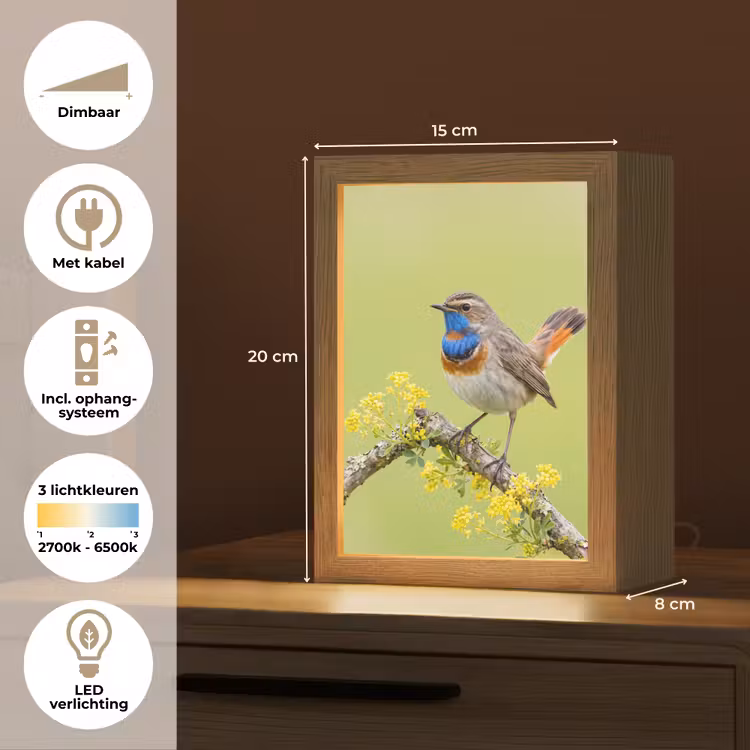 Vogel - Tak - Natuur - Kleurrijk Light Box met kabel (Kinderlampje) klein -USP_NL