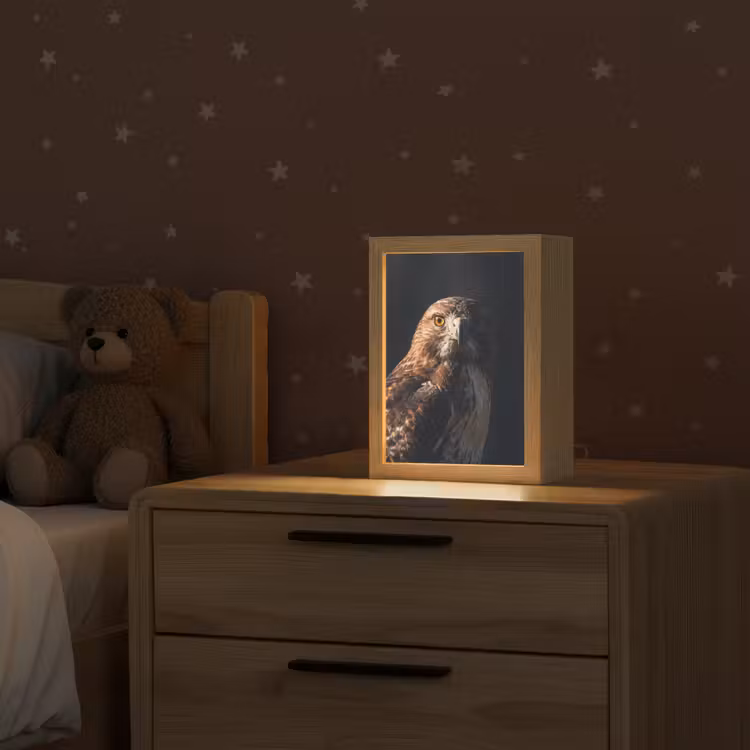 Roofvogel - Buizerd - Bruin Light Box met kabel (Kinderlampje) klein -sfeer1_kind