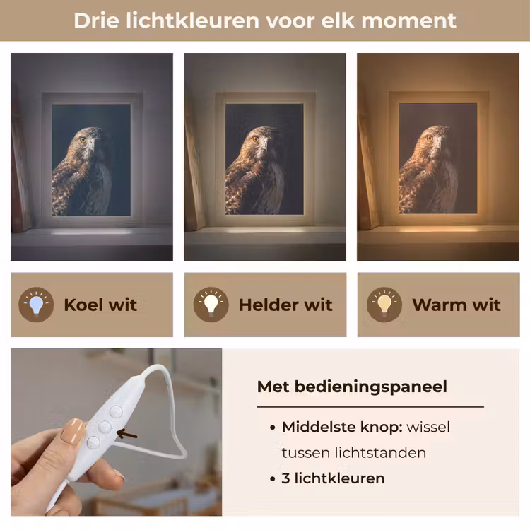 Roofvogel - Buizerd - Bruin Light Box met kabel (Kinderlampje) klein -USP_lichtkleurNL