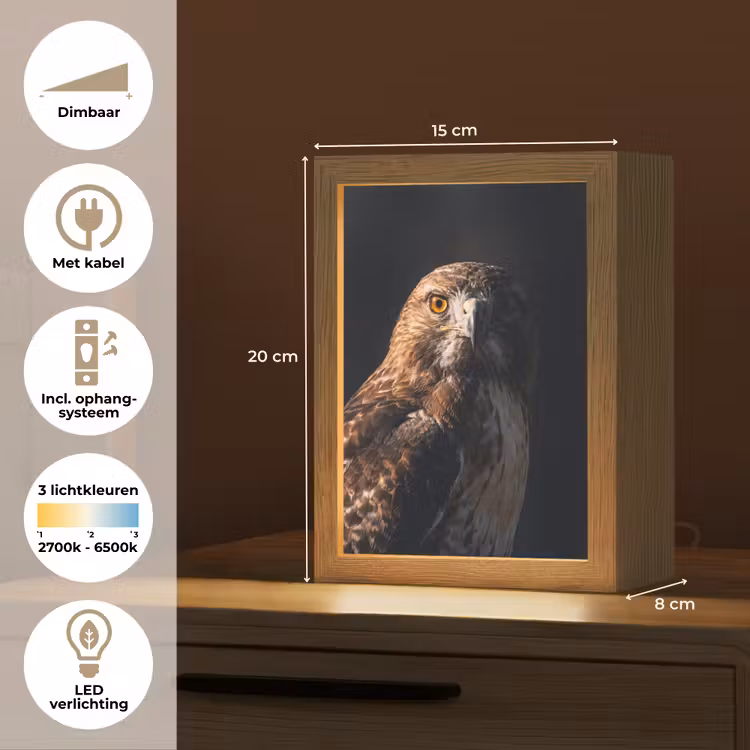 Roofvogel - Buizerd - Bruin Light Box met kabel (Kinderlampje) klein -USP_NL