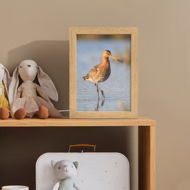 Vogel - Steltloper - Water - Natuur Light Box met kabel (Kinderlampje) klein -sfeer2_kind