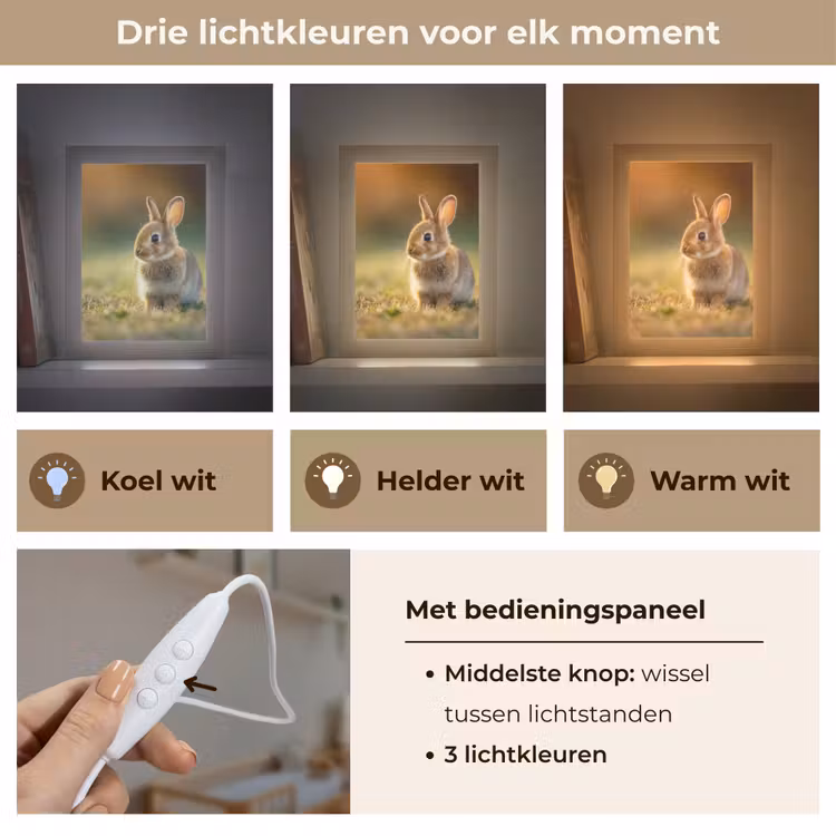 Konijntje - Bruin - Gras Light Box met kabel klein -USP_lichtkleurNL