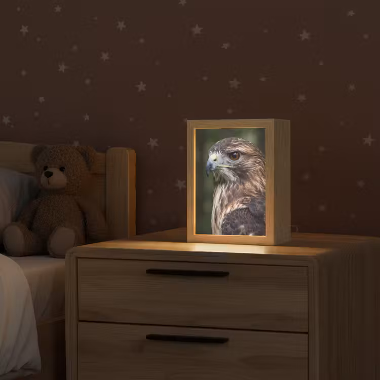 Buizerd - Roofvogel - Natuur - Bruin Light Box met kabel (Kinderlampje) klein -sfeer1_kind