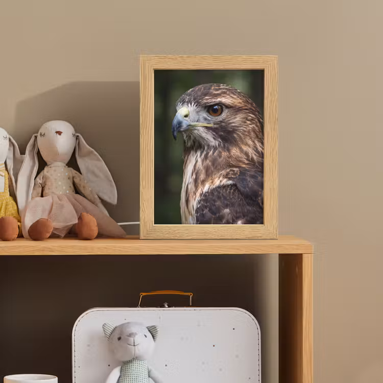 Buizerd - Roofvogel - Natuur - Bruin Light Box met kabel (Kinderlampje) klein -sfeer2_kind