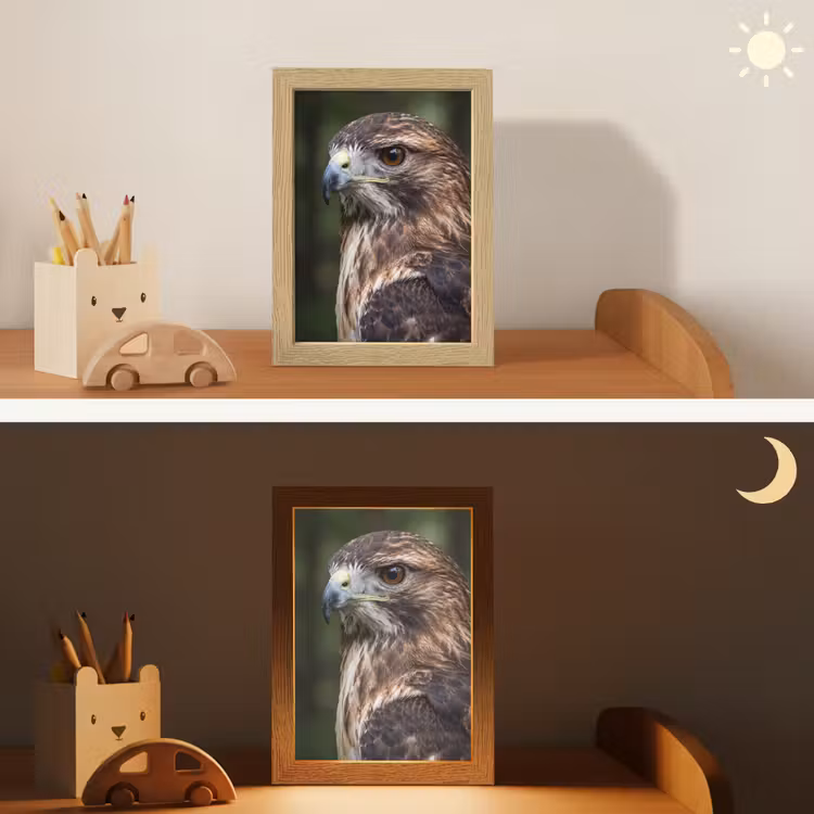 Buizerd - Roofvogel - Natuur - Bruin Light Box met kabel (Kinderlampje) klein -sfeer3_kind