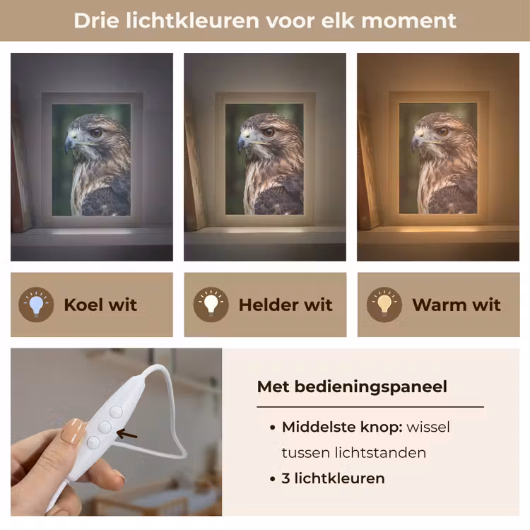 Buizerd - Roofvogel - Natuur - Bruin Light Box met kabel (Kinderlampje) klein -USP_lichtkleurNL