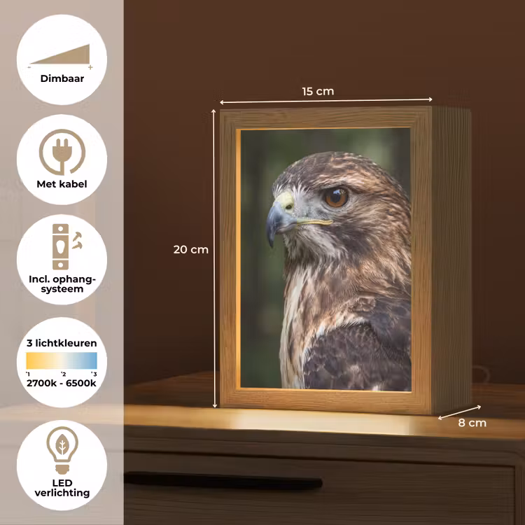 Buizerd - Roofvogel - Natuur - Bruin Light Box met kabel (Kinderlampje) klein -USP_NL