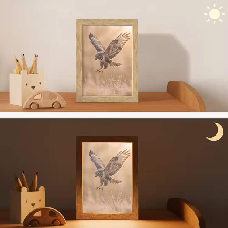 Buizerd - Roofvogel - Natuur - Bruin Light Box met kabel (Kinderlampje) klein -sfeer3_kind
