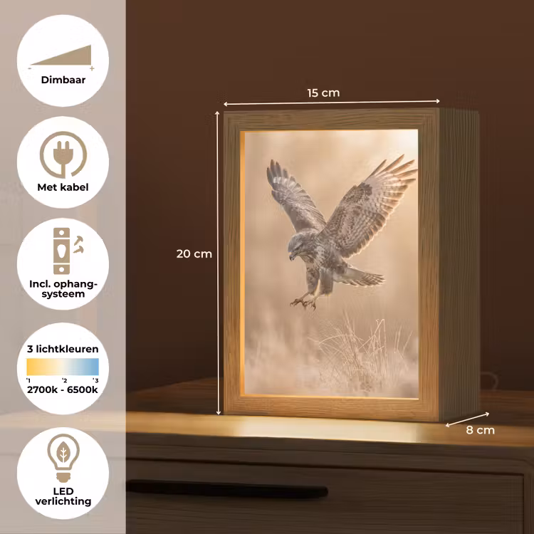 Buizerd - Roofvogel - Natuur - Bruin Light Box met kabel (Kinderlampje) klein -USP_NL
