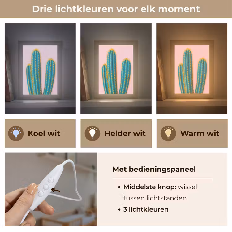 Cactussen - Modern - Pastel Light Box met kabel (Kinderlampje) klein -USP_lichtkleurNL
