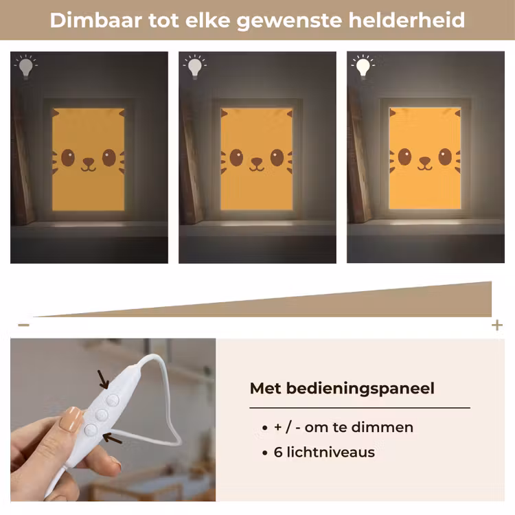 Kat - Simplistisch - Oranje - Vrolijk Light Box met kabel klein -USP_dimbaarNL