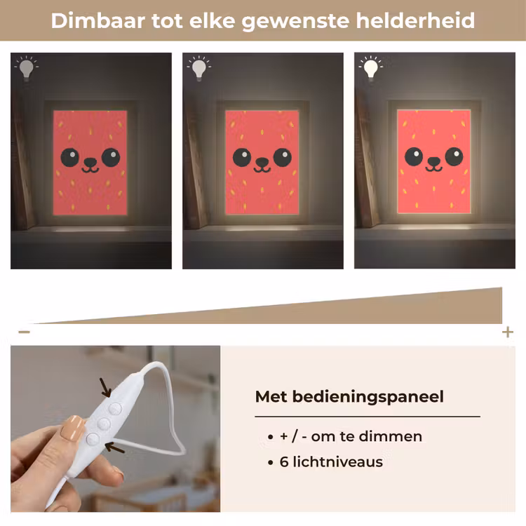 Kat - Aardbei - Cartoon Light Box met kabel klein -USP_dimbaarNL