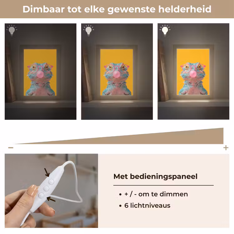 Kameleon - Kauwgom - Kleurrijk Light Box met kabel (Kinderlampje) klein -USP_dimbaarNL