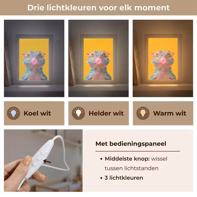 Kameleon - Kauwgom - Kleurrijk Light Box met kabel (Kinderlampje) klein -USP_lichtkleurNL