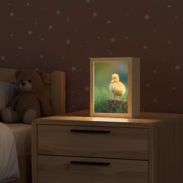 Kuiken - Eend - Geel - Gras Light Box met kabel klein -sfeer1_kind