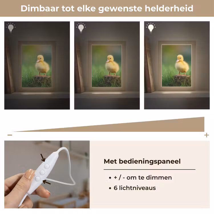 Kuiken - Eend - Geel - Gras Light Box met kabel klein -USP_dimbaarNL