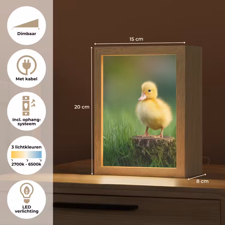 Kuiken - Eend - Geel - Gras Light Box met kabel klein -USP_NL