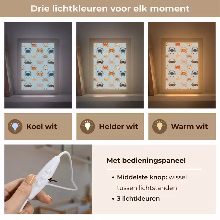 Krabben - Speels - Kleurrijk Light Box met kabel (Kinderlampje) klein 904 -USP_lichtkleurNL