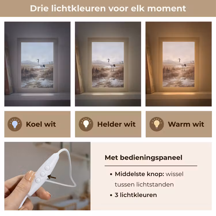 Kraanvogel - Natuur - Realistisch Light Box met kabel (Kinderlampje) klein -USP_lichtkleurNL