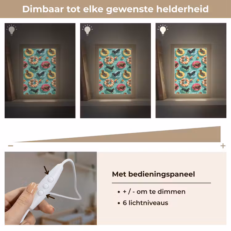 Teckels - Zwembad - Kleurrijk Light Box met kabel (Kinderlampje) klein 904 -USP_dimbaarNL