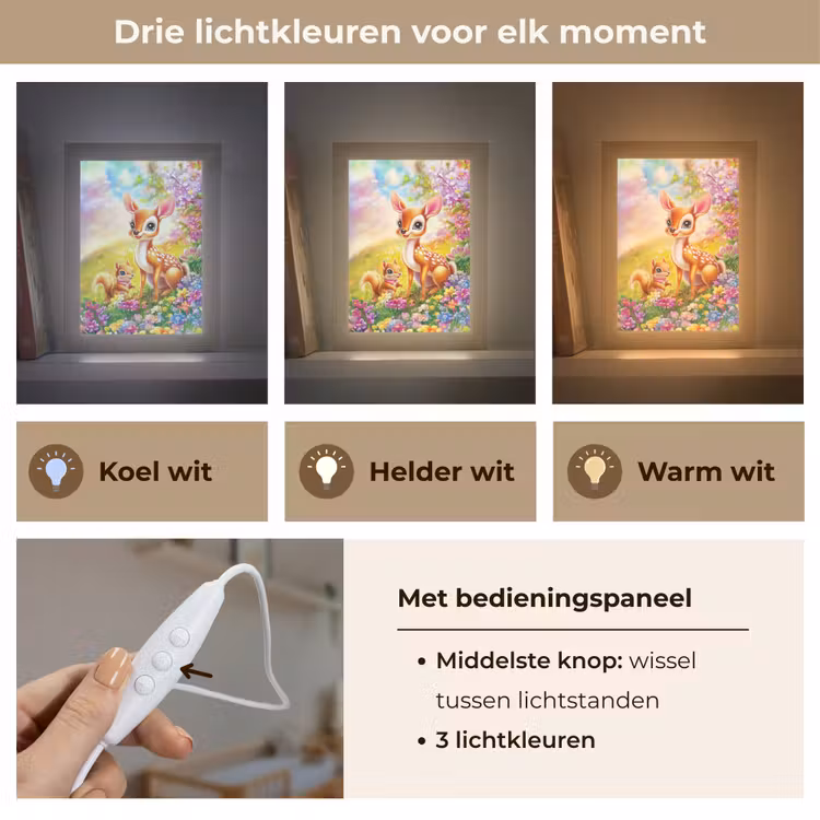 Hertje - Eekhoorn - Bloemenveld - Kleurrijk Light Box met kabel klein -USP_lichtkleurNL
