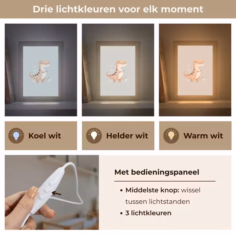 Dino - Bloemen - Blauw Light Box met kabel klein -USP_lichtkleurNL