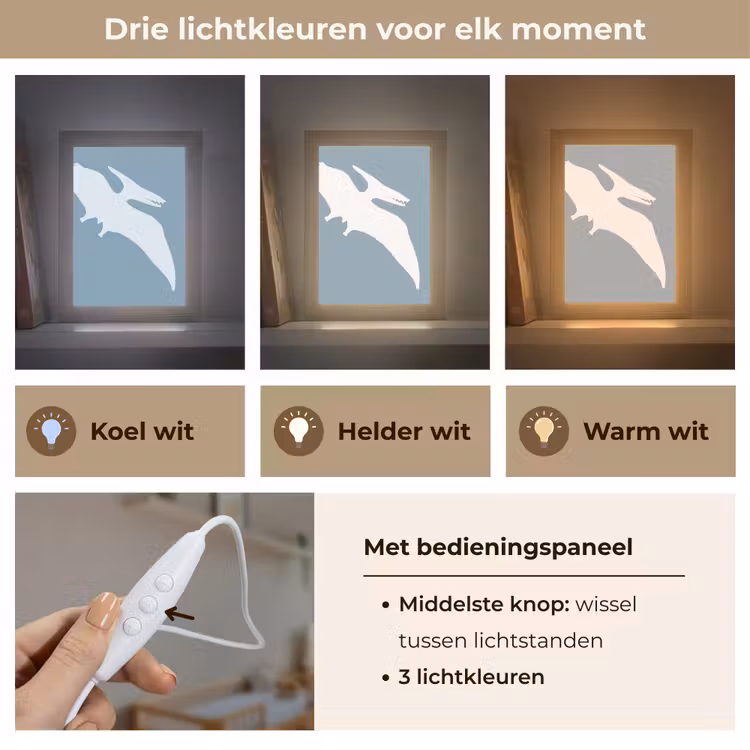Dino - Pteranodon - Dinosaurus - Blauw Light Box met kabel klein -USP_lichtkleurNL