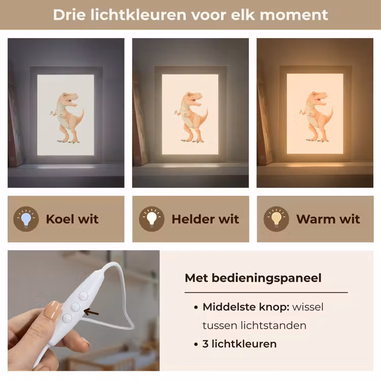 Dino - T-Rex - Oranje Light Box met kabel klein -USP_lichtkleurNL