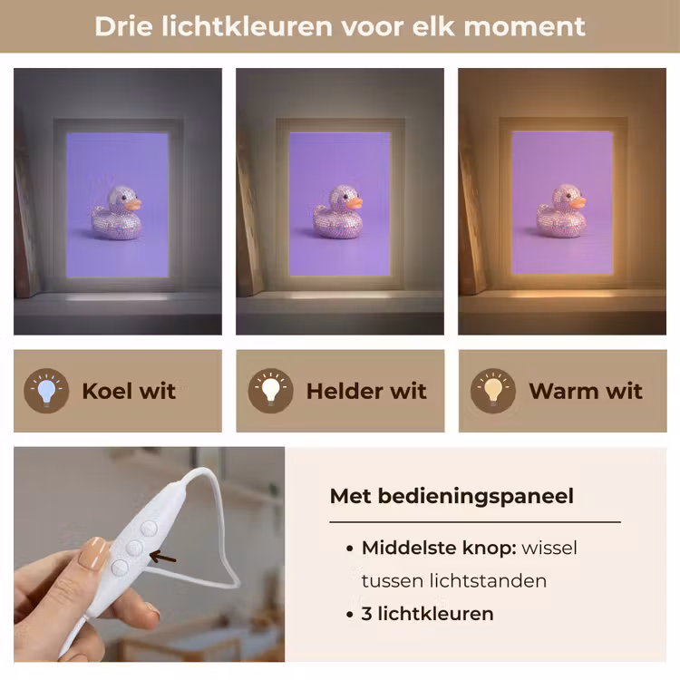Disco - Eend - Paars Light Box met kabel (Kinderlampje) klein -USP_lichtkleurNL