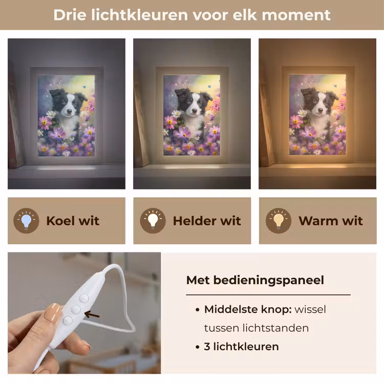 Hond - Bloemen - Natuur - Puppy - Bordercollie Light Box met kabel klein -USP_lichtkleurNL