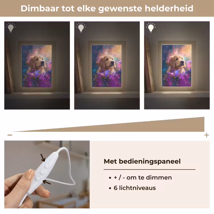 Hond - Puppy - Zon - Bloemen - Golden retriever Light Box met kabel klein -USP_dimbaarNL