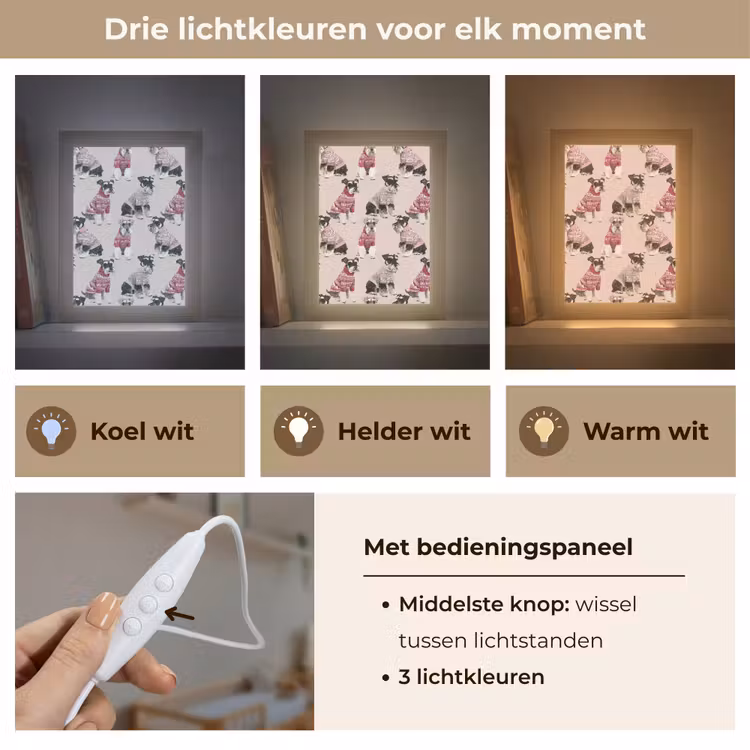 Honden - Truien - Rood Light Box met kabel (Kinderlampje) klein 904 -USP_lichtkleurNL