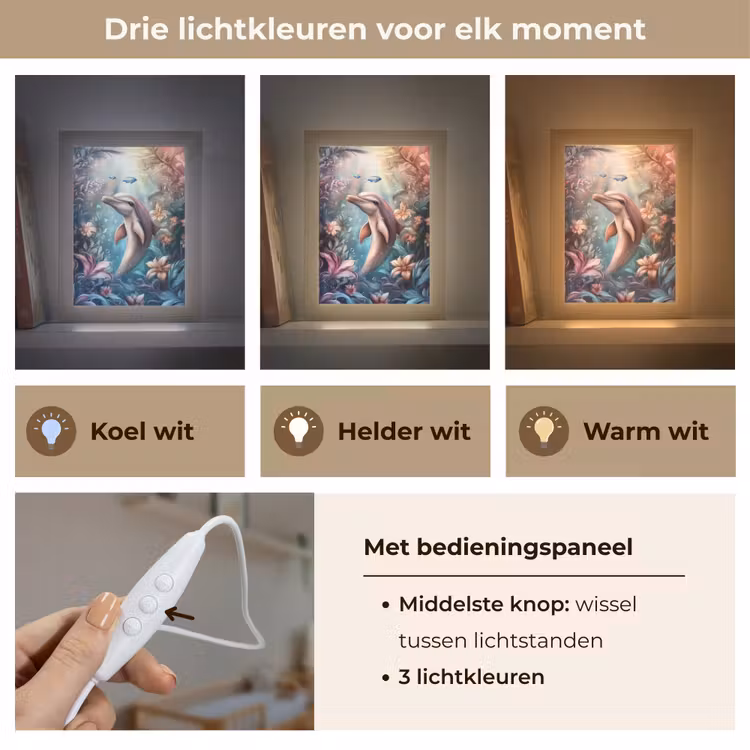 Dolfijn - Vissen - Onderwaterwereld - Bloemen Light Box met kabel klein -USP_lichtkleurNL