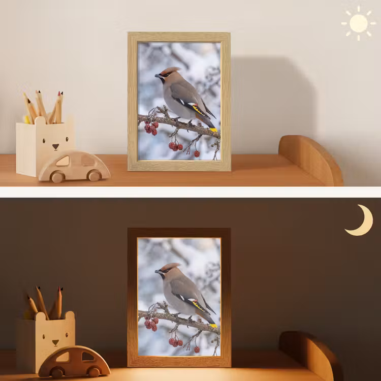 Pestvogel - Bessen - Winter - Natuur Light Box met kabel (Kinderlampje) klein -sfeer3_kind