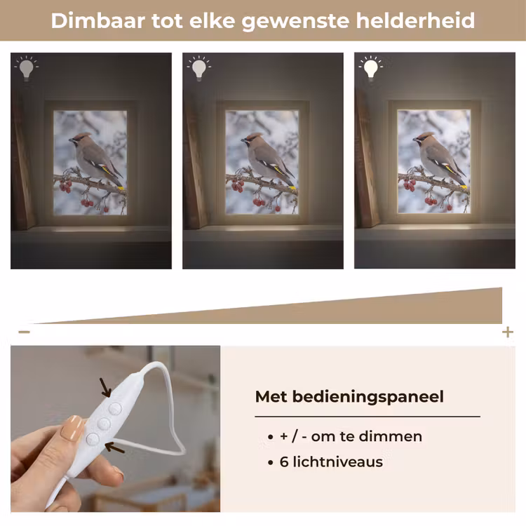 Pestvogel - Bessen - Winter - Natuur Light Box met kabel (Kinderlampje) klein -USP_dimbaarNL