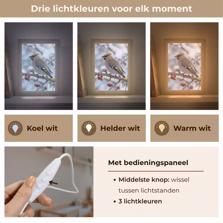 Pestvogel - Bessen - Winter - Natuur Light Box met kabel (Kinderlampje) klein -USP_lichtkleurNL
